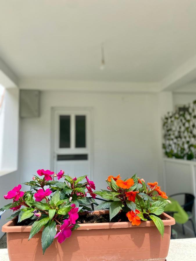 Apartmani Dragana Herceg Novi Buitenkant foto