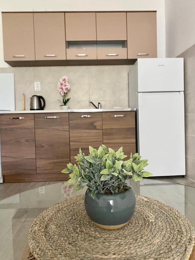 Apartmani Dragana Herceg Novi Buitenkant foto