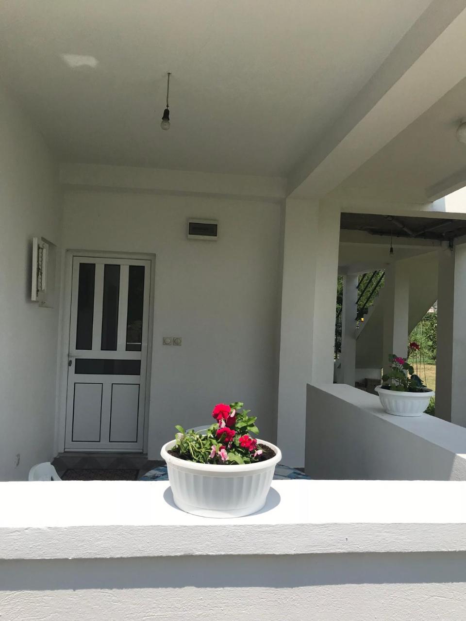 Apartmani Dragana Herceg Novi Buitenkant foto