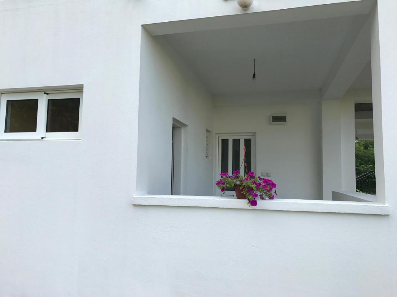 Apartmani Dragana Herceg Novi Buitenkant foto