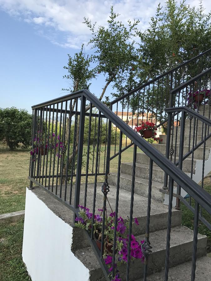 Apartmani Dragana Herceg Novi Buitenkant foto
